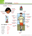 /album/photo-gallery-article-archive/the-body-png2/